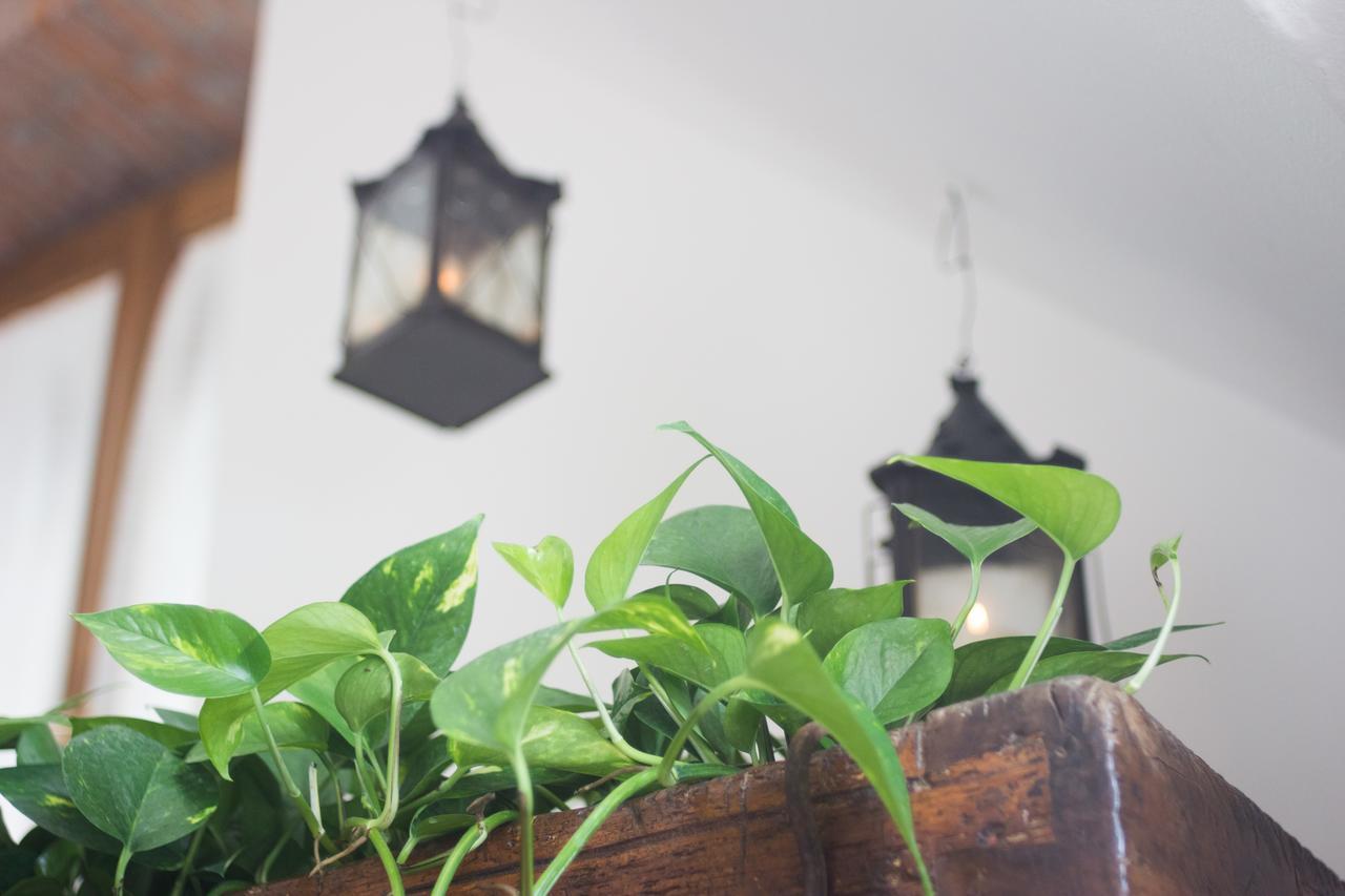 Bed and Breakfast Abbaino Massa  Esterno foto