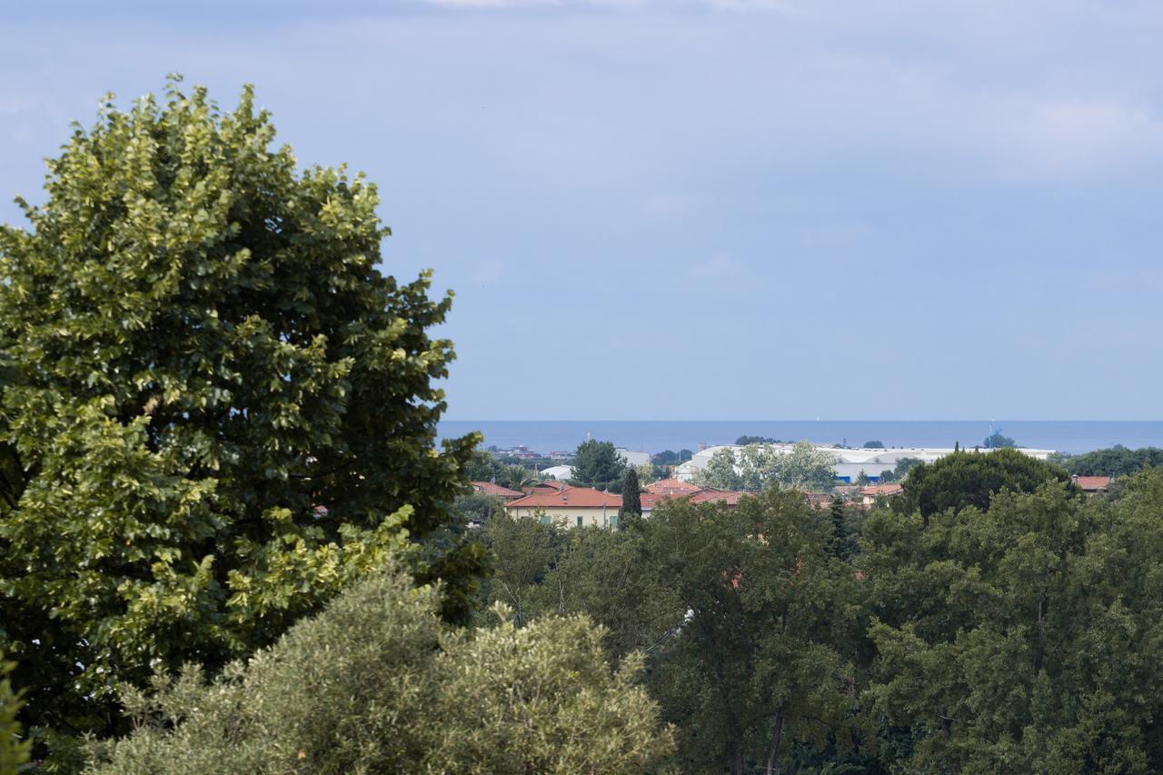 Bed and Breakfast Abbaino Massa  Esterno foto