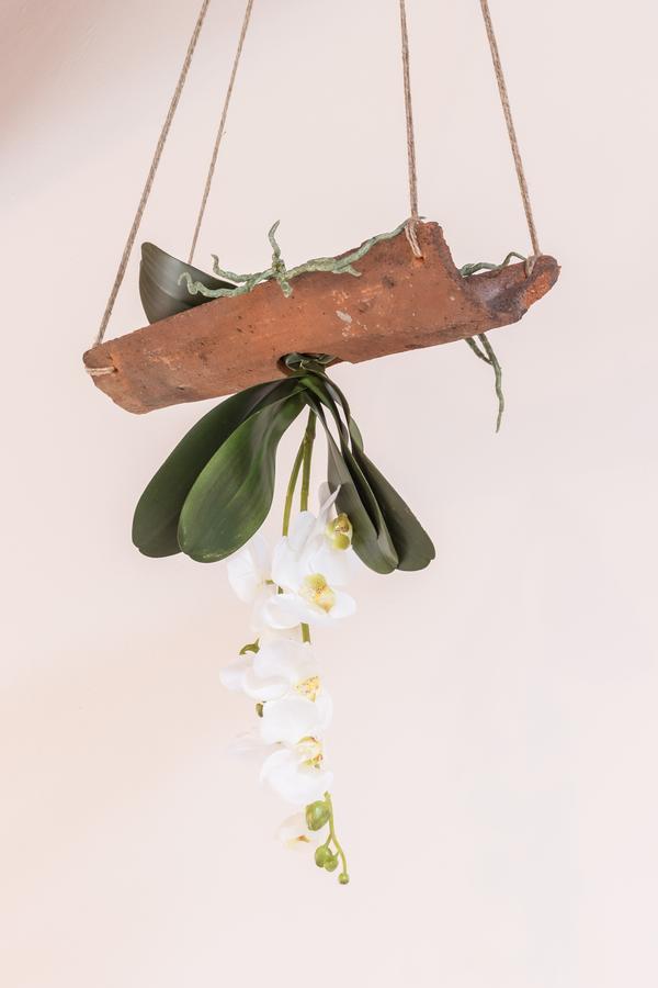 Bed and Breakfast Abbaino Massa  Esterno foto